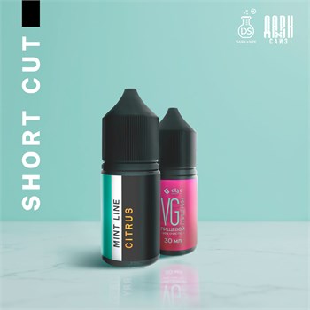 Ароматизатор DARK X SIZE Mint Line - "Citrus" (Лайм и лимон на фоне прохладной мяты) (SHORT CUT)