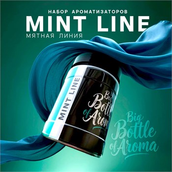 Набор ароматизаторов DARK X SIZE MINT LINE в уникальной упаковке (SHORT CUT) - 8 шт sdlbUALhjOJstVw-v-H8f1 - фото 12340
