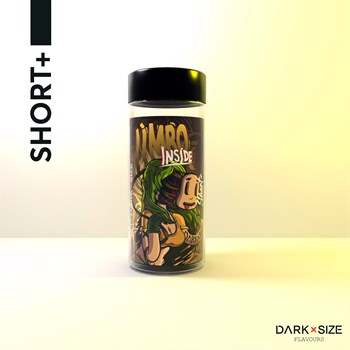 Ароматизатор DARK X SIZE Inside - "Limbo" (Лимонад с имбирем, лаймом и шиповником) oz4-3R7DgudIqWqMv5yMb0 - фото 5792