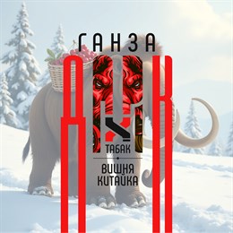 Ароматизатор DARK X SIZE ГАНЗА - "Табак, вишня Китайка" (MEDIUM+) -A6m07kpiYDsWkMMM9NJ93