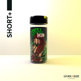 Ароматизатор DARK X SIZE Inside - "Fresh" (Лимонад с малиной, земляникой и киви) 7FJqr6QpjjF44UEtcSsnh0