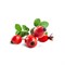 Ароматизатор DARK X SIZE SOLO 10мл - Шиповник N40yjfd8iQfKI2EMSuyxR1 - фото 10268