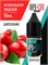 Ароматизатор DARK X SIZE SOLO 10мл - Шиповник N40yjfd8iQfKI2EMSuyxR1 - фото 11957